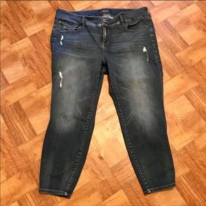 Torrid Jeans